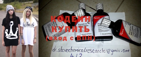стаф Вязьма