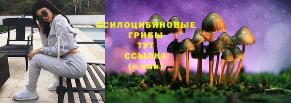 а пвп мука Володарск